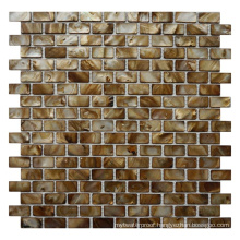 Glossy Bathroom Wall Decor Pieces Shell Mosaic Tiles on Mesh